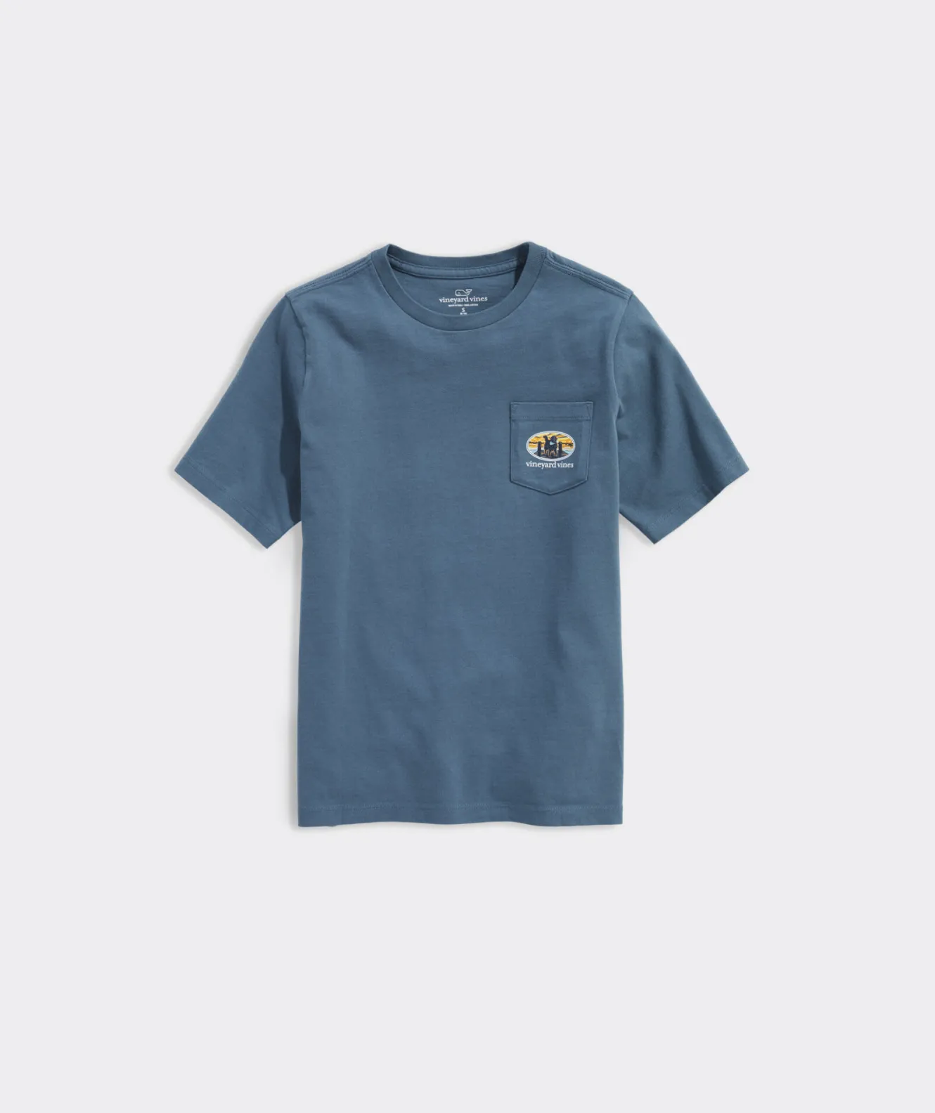 Vineyard Vines On-The-Go Nylon Striped Shirt< Button-Down Shirts For Men|Button-Down Shirts